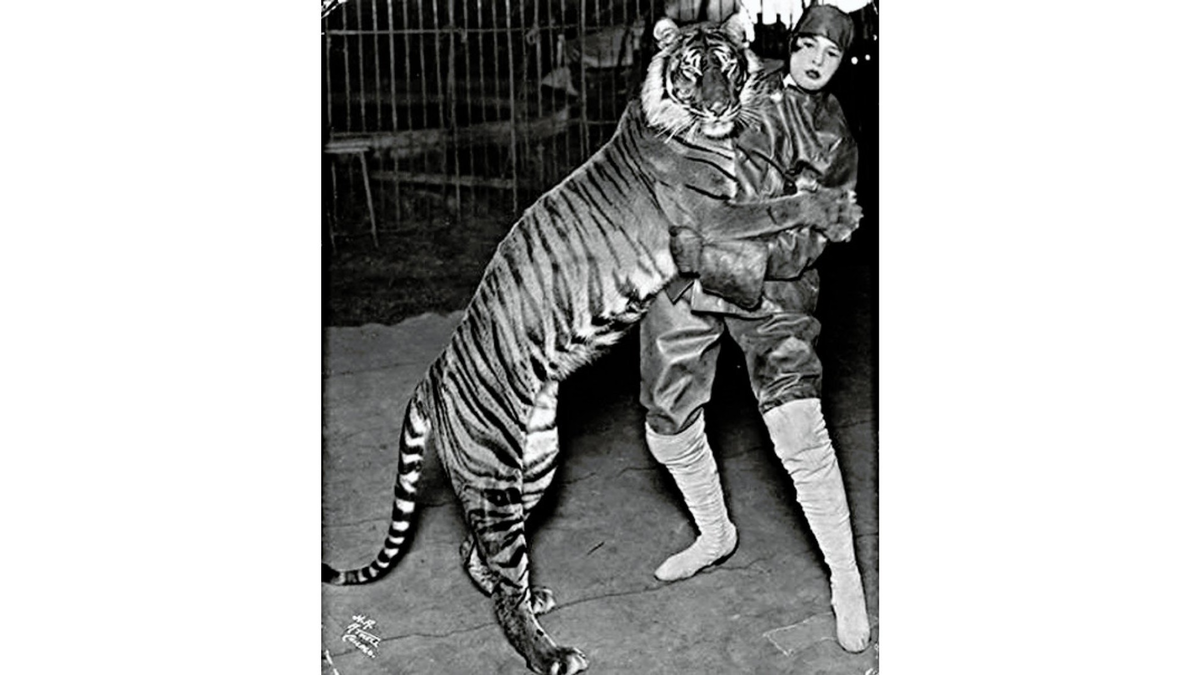 Фото из открытых источников