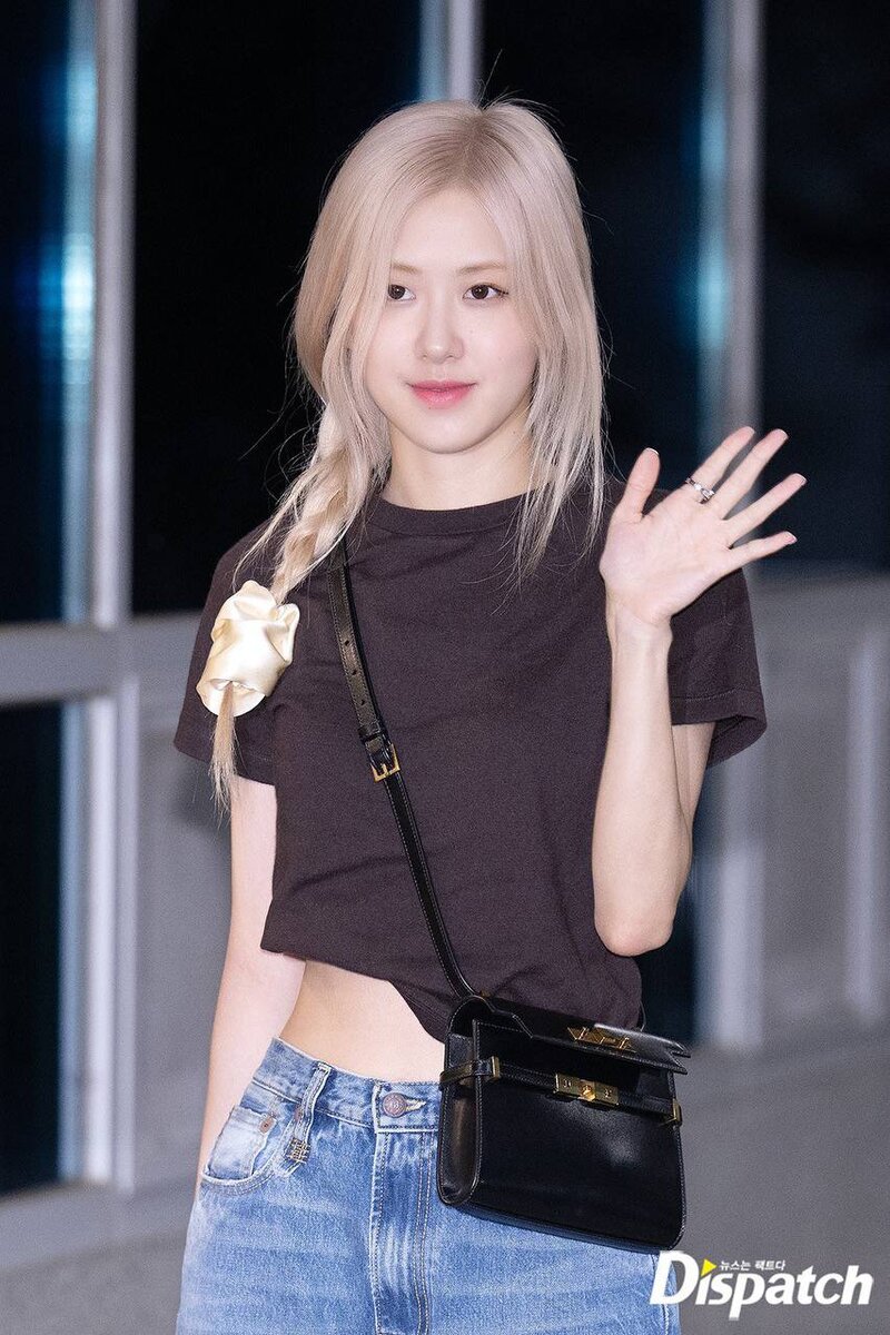 Розе в аэропорту GIMPO (SGBAC), вылет в Ханой, Вьетнам.