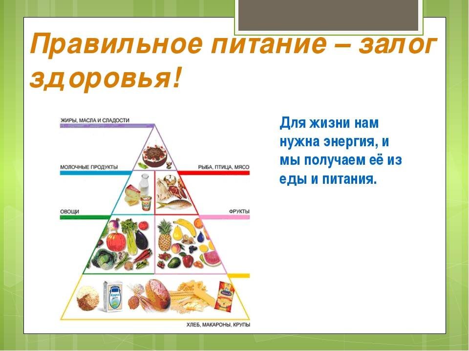 Круглый стол правильное питание залог здоровья