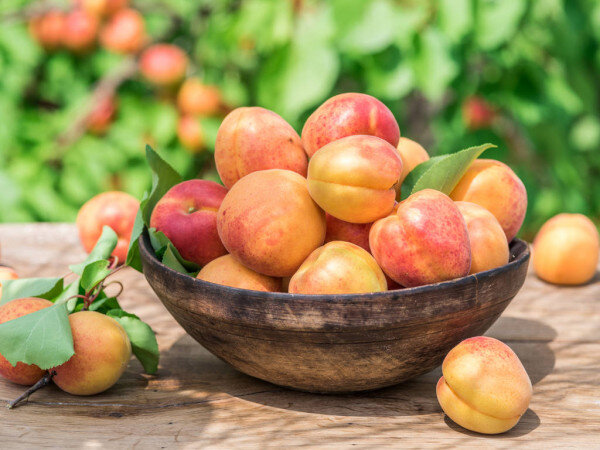 Абрикосы