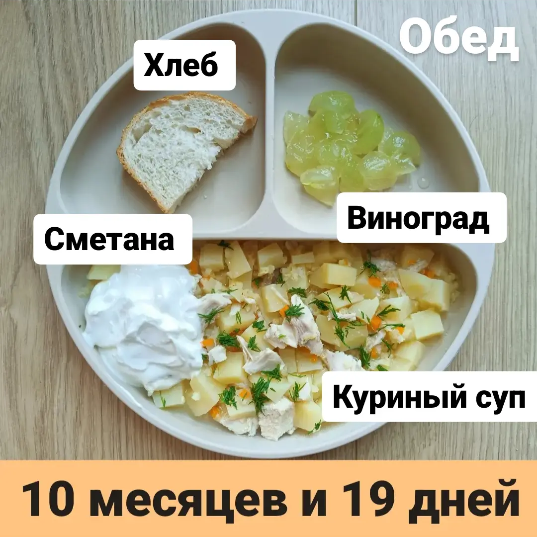 Пример тарелки в 10 месяцев 