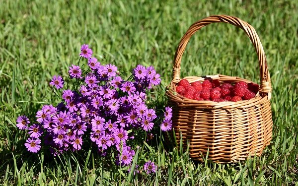 Фото из Интернета