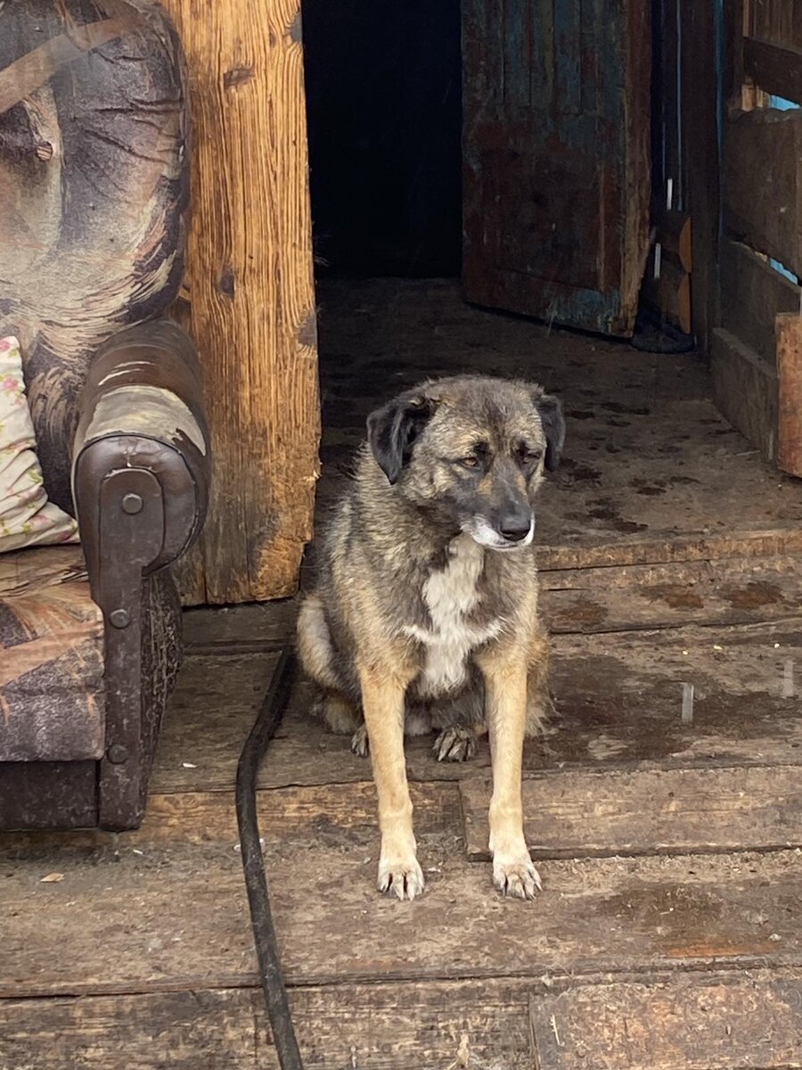 Можно зайти в домик