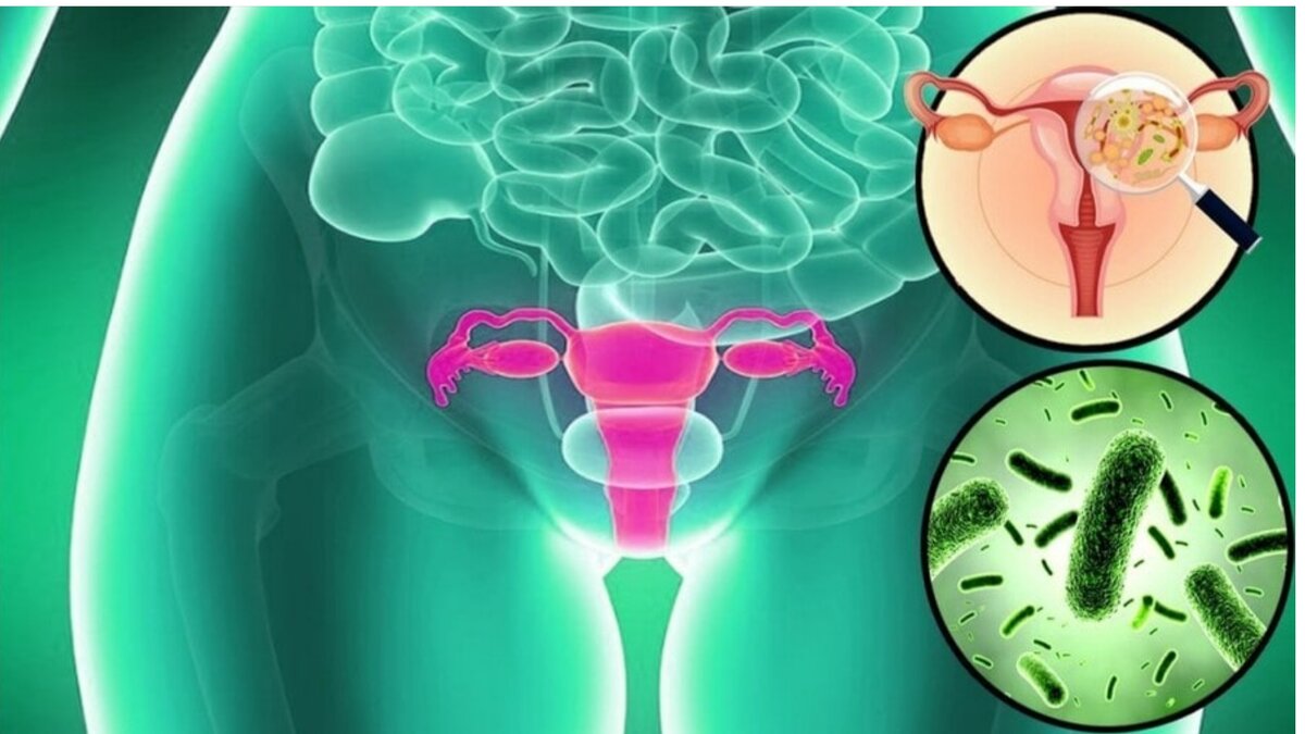 Фото бактерий 