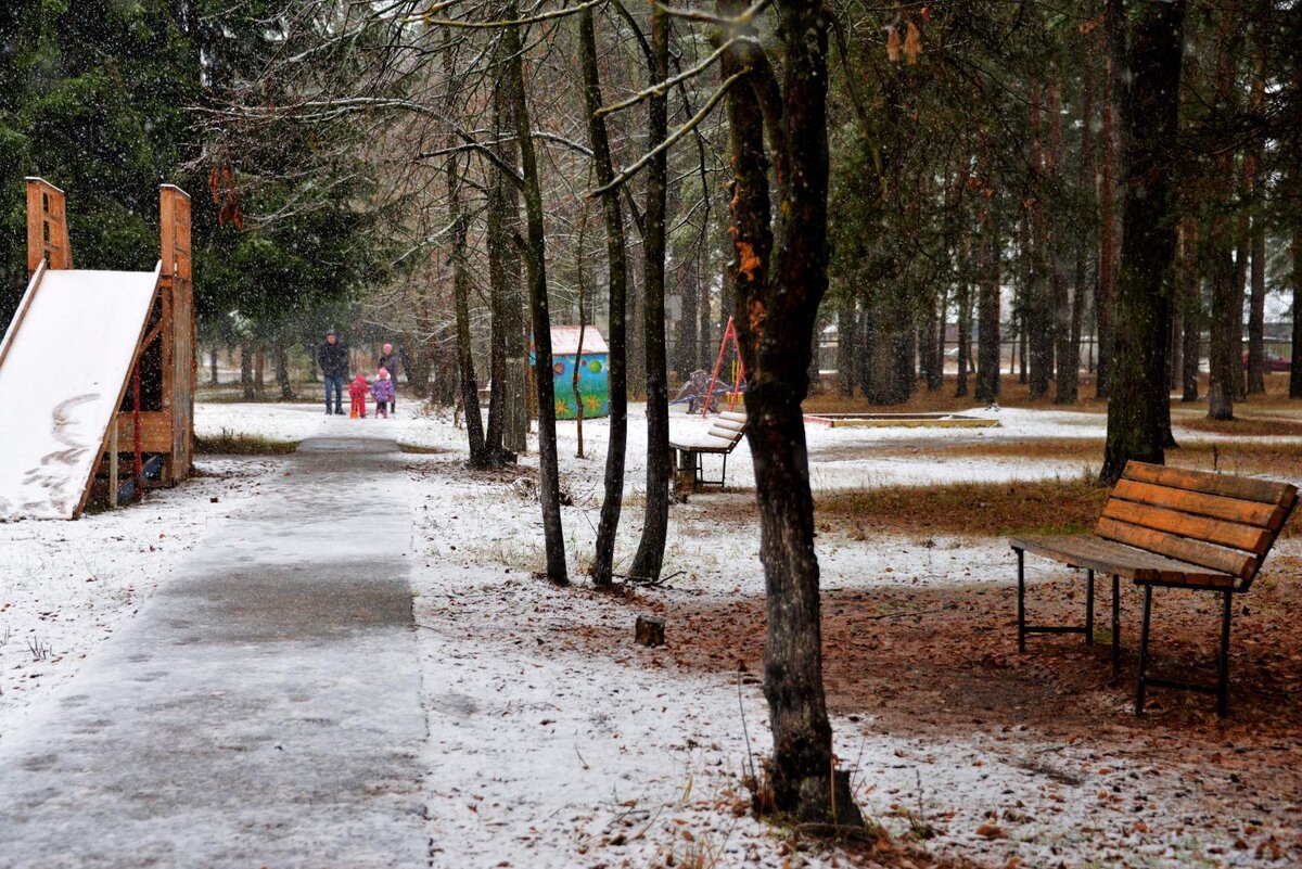 В зимнем парке. Фото В.Гребнева