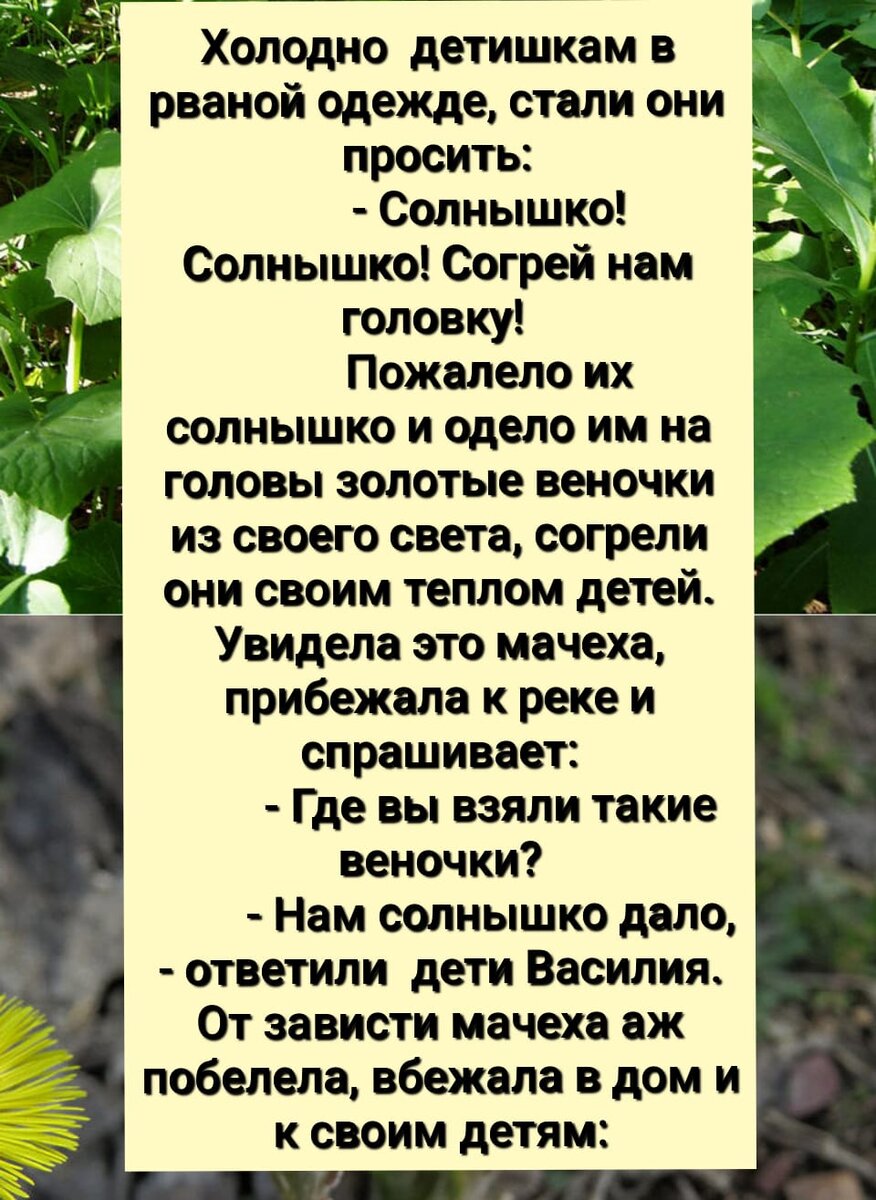 Ведьмёныш. Судьбы. Про любовь, про малыша и легенда о мать - и-мачихе |  Ведьмины подсказки. Мифы, фэнтези, мистика | Дзен