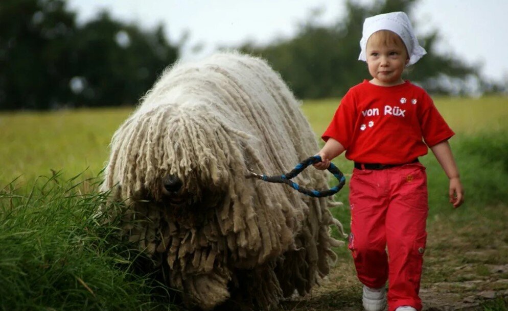 фото: bondik-kids.ru