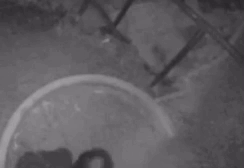 Автор - YouTube “Renee Schiavone”