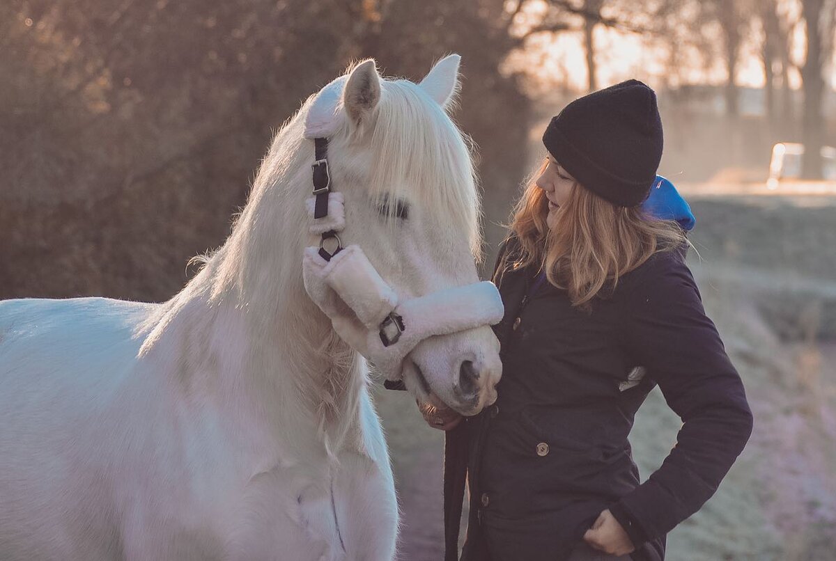 Natural Horsemanship