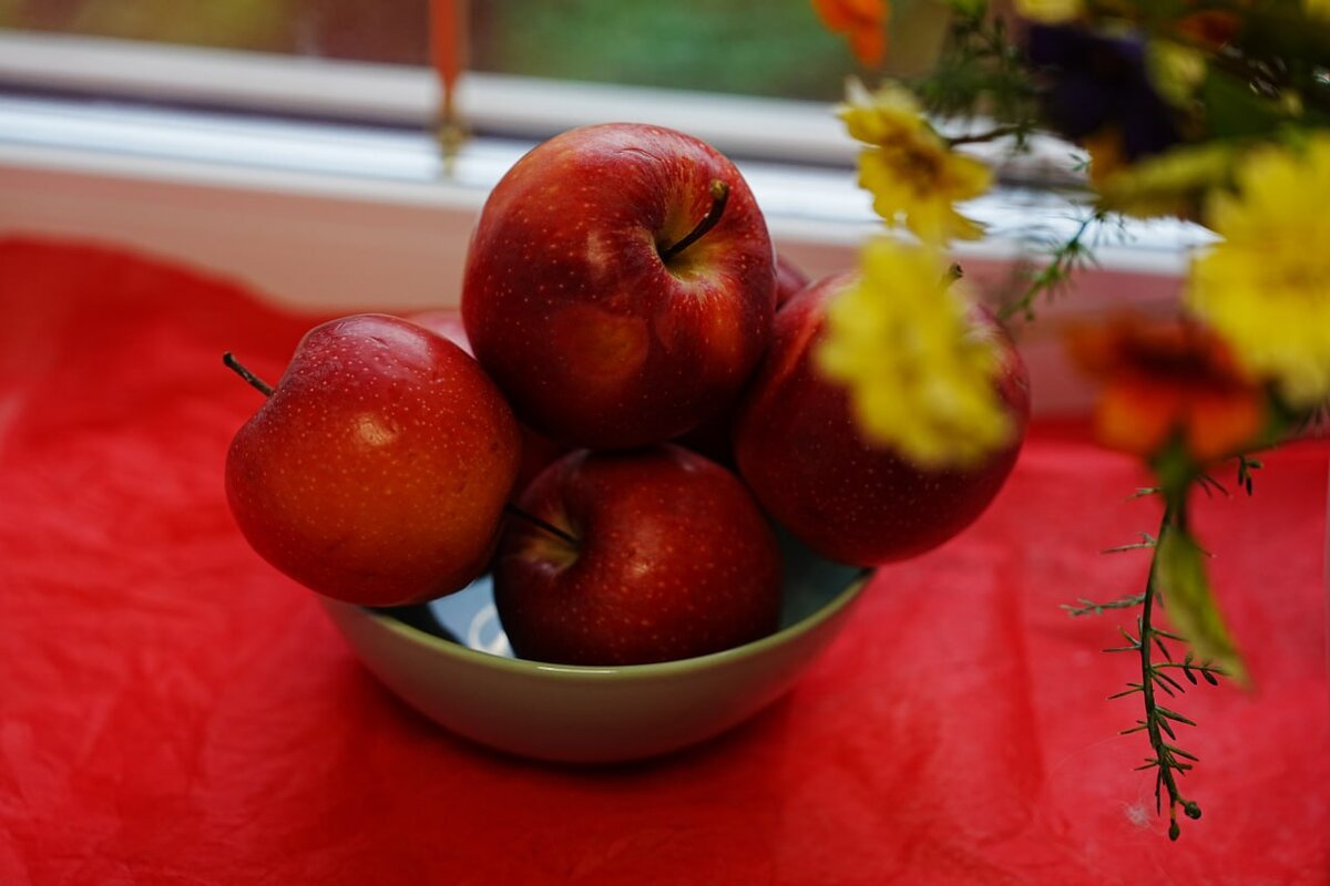 С Дачным агрономом урожай завалит 