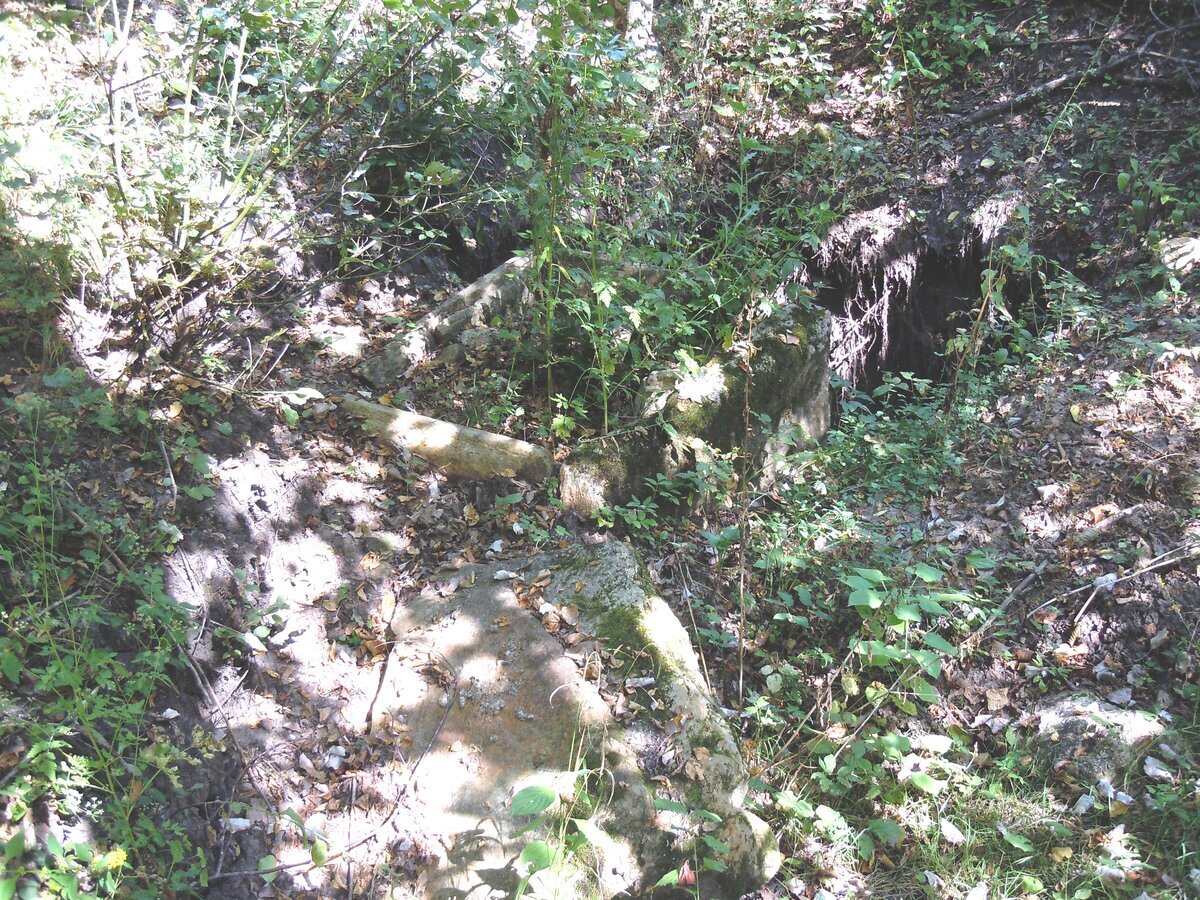 Вид с задней стороны