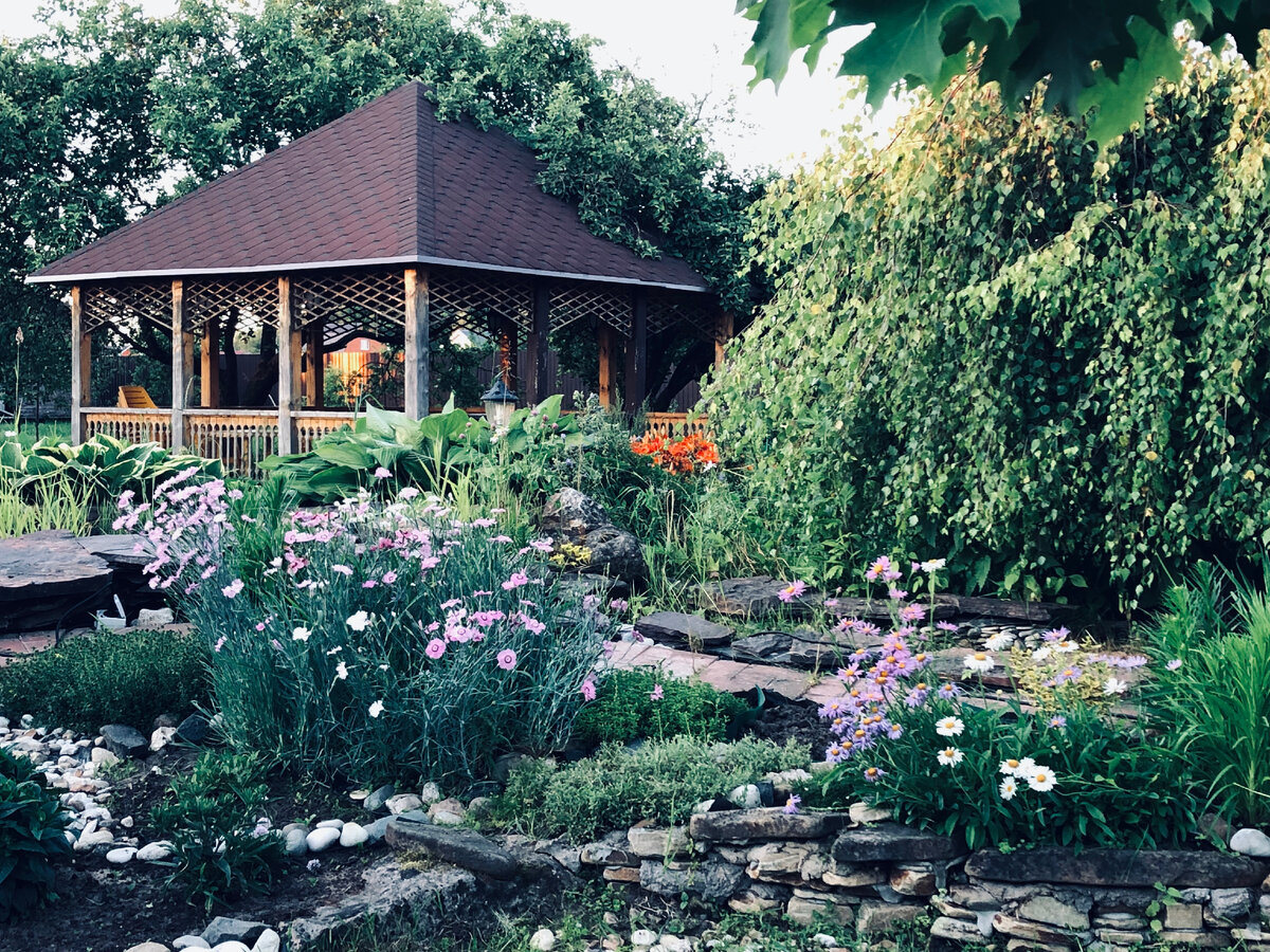 Перистой гвоздики справа уже нет на горке, а альпийская астра, которая слева, до сих пор жива. 