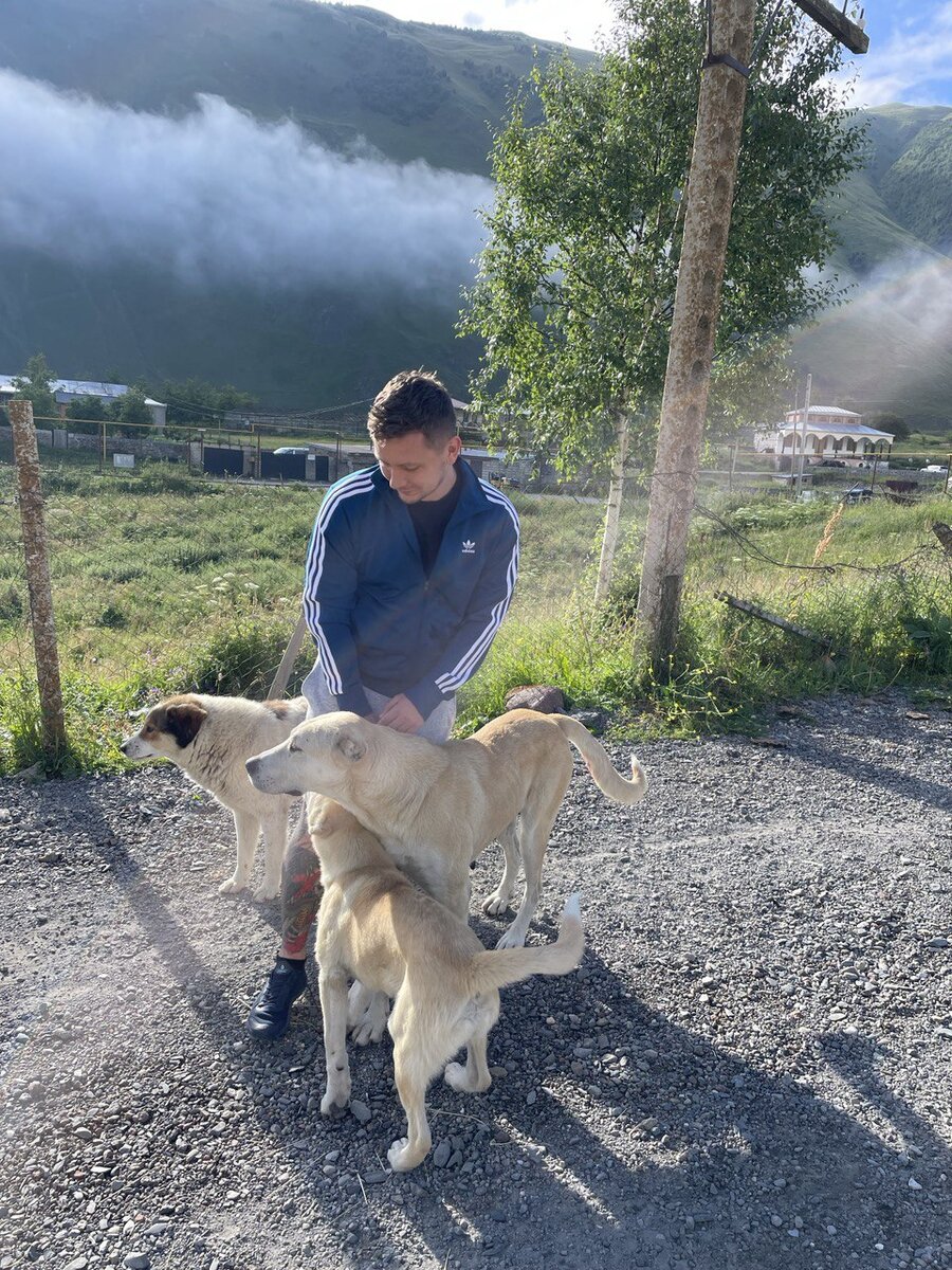 Стандартная ситуация. В той прогулке к нам присоединилась еще одна. 