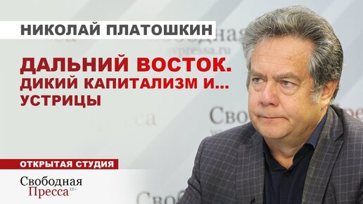 На Дальнем Востоке есть все, кроме власти. Н. Платошкин об утечке дальневосточного капитала заграницу и абсурде стратегии развития региона