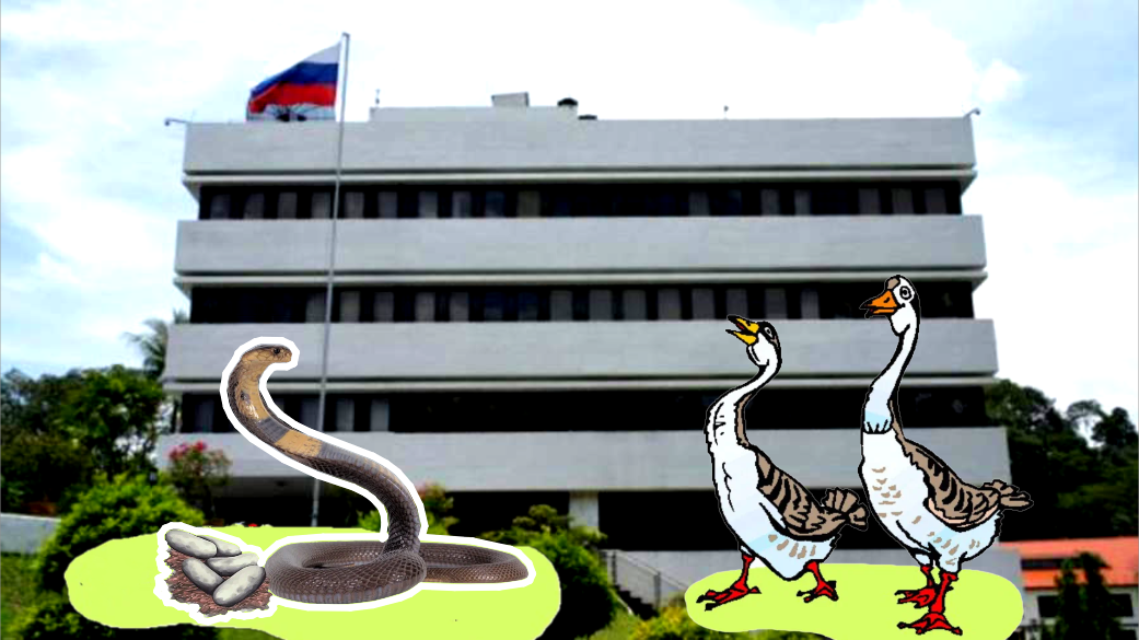 Посольство России в Сингапуре по адресу 51 Nassim Road