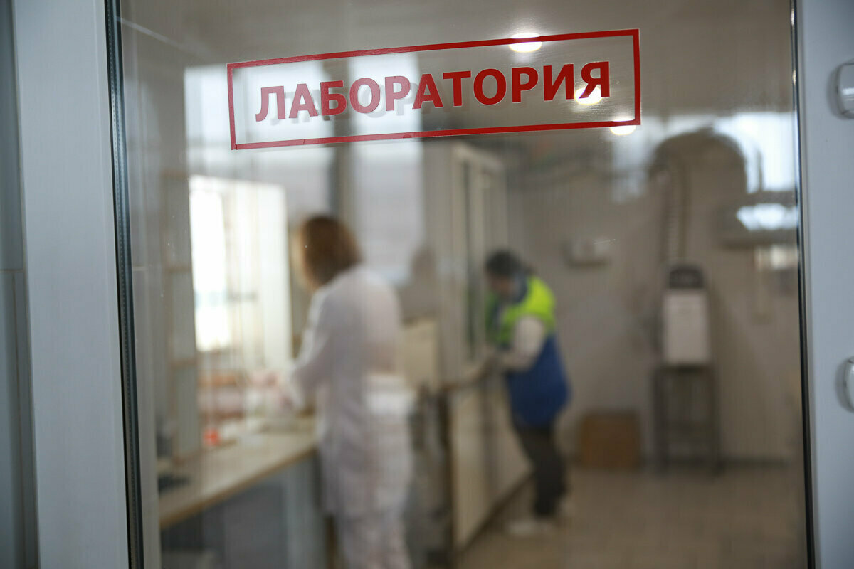 Фото: Илья Хачатурян