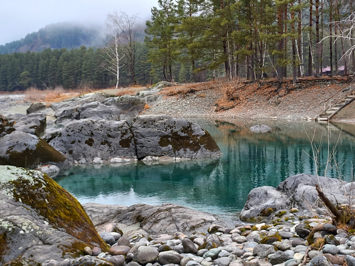 Алтай Катунь в палатках