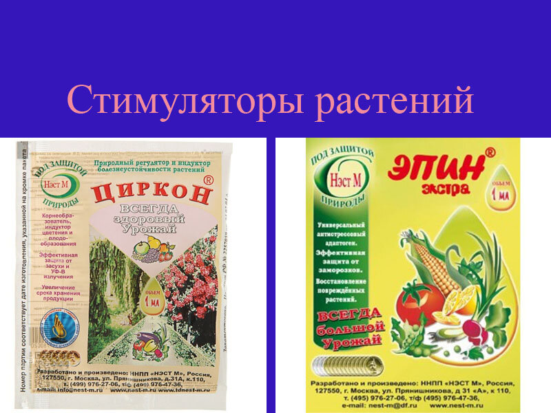 Чем отличается эпин от циркона. Циркон и Эпин в чем разница между ними. Эпин и циркон в чем разница