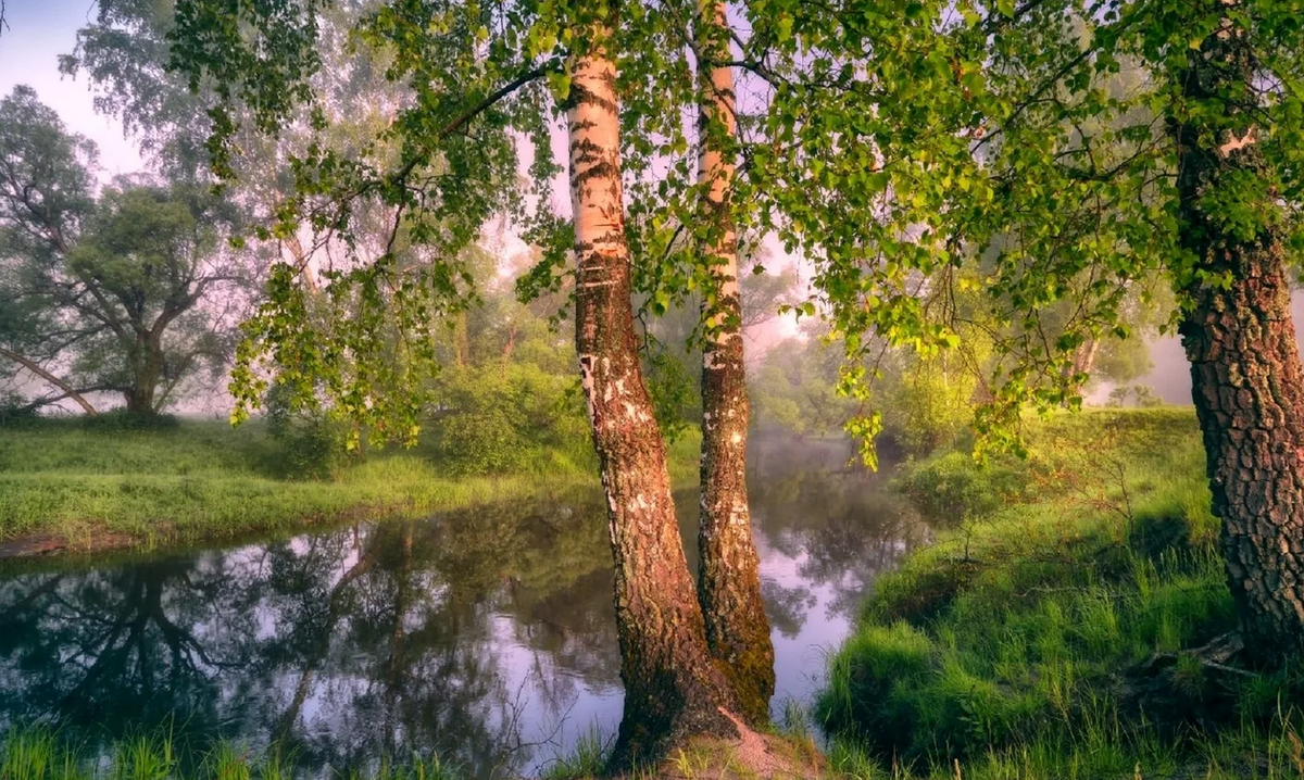 картинки Яндекс