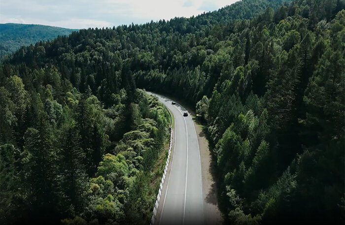    Фото: www.wdfestival.com