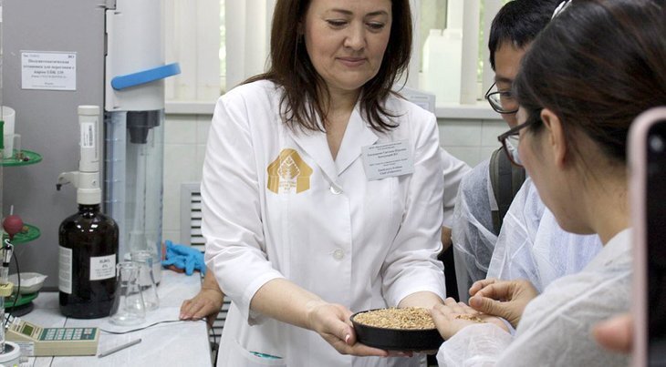    Вьетнамский рынок может стать одним из самых перспективных направлений для экспорта российского зерна