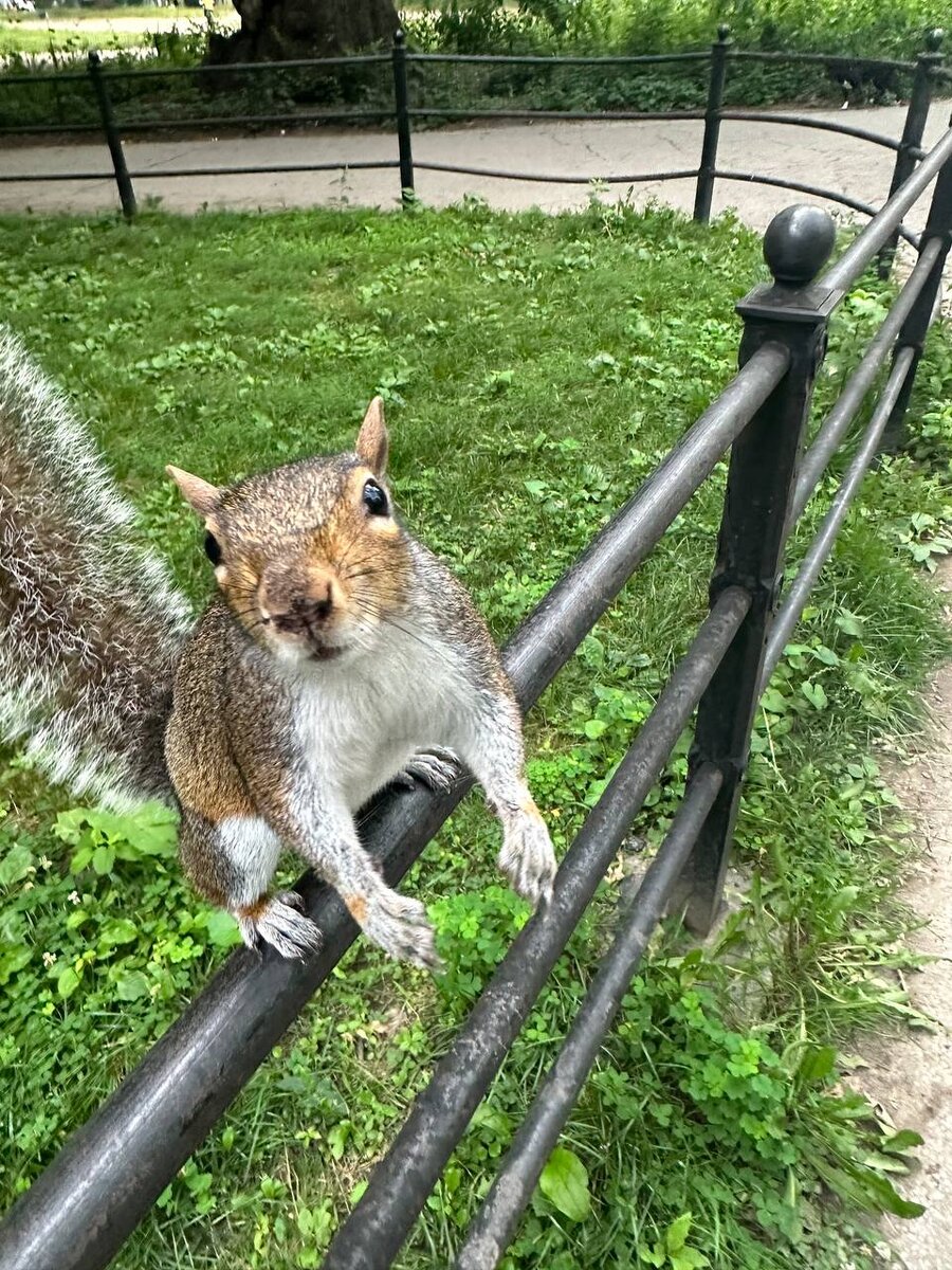 Да?)