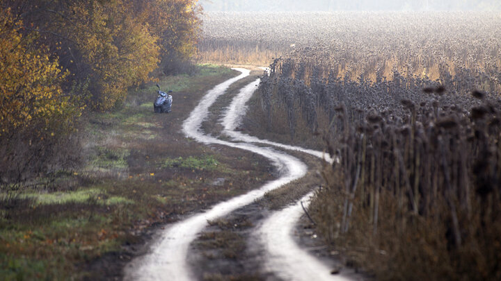 ФОТО: NIKOLAY GYNGAZOV/GLOBALLOOKPRESS