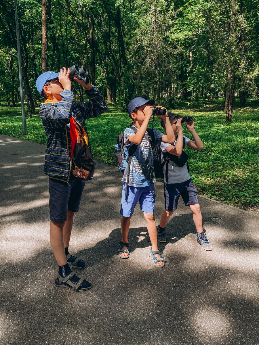 Смотри в оба! Видишь зяблика? 