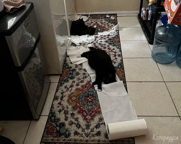 Источник: pinterest.com