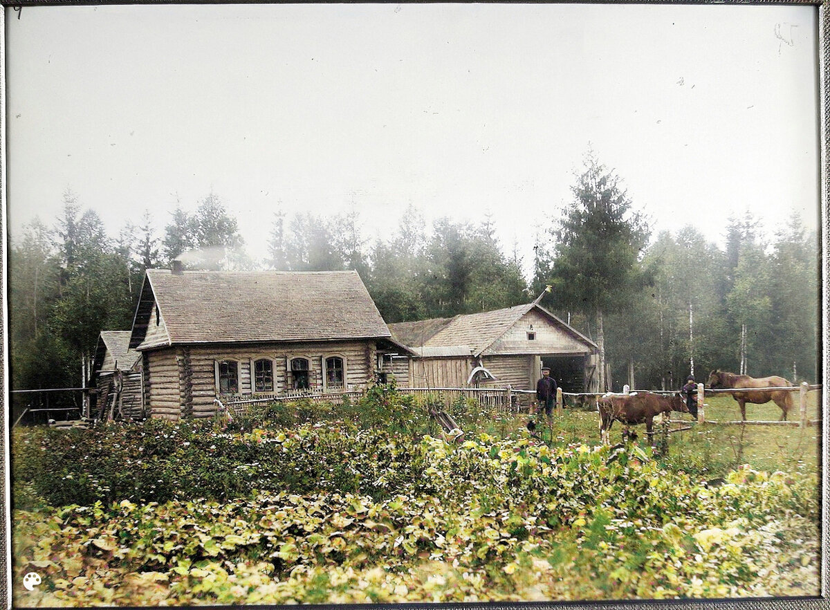 История цветная фотография