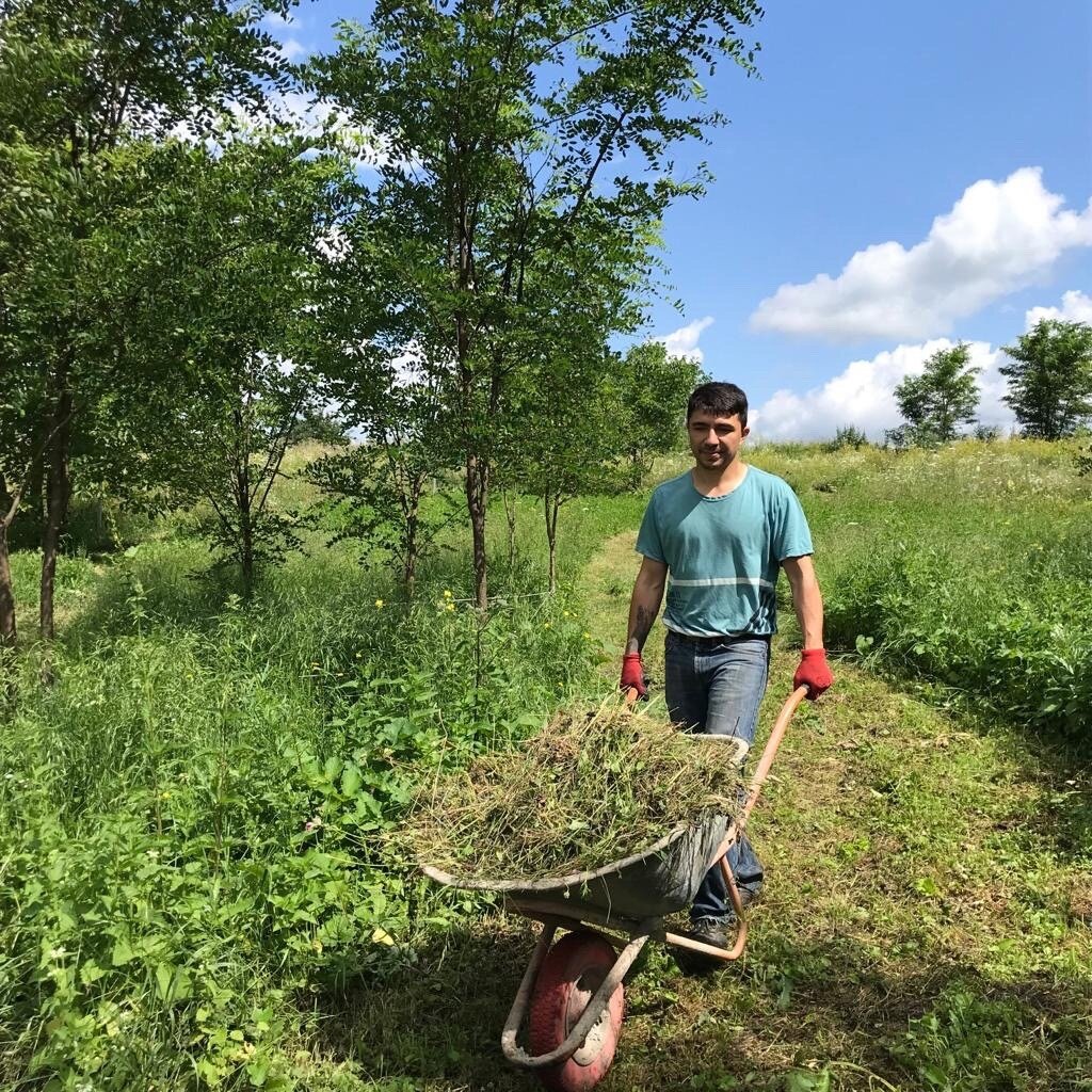 Собираю траву,которую косили как только приехали