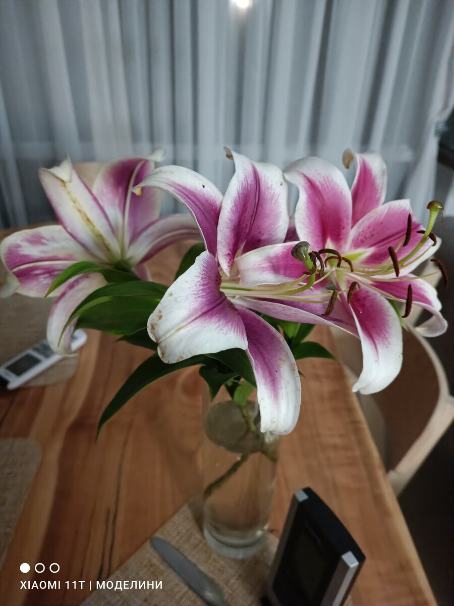 А ещё ждали вот такие лилии. Пахнут на весь дом. Муж принёс от родителей. Чего они там цветут ни для кого? Пусть стоят в вазе и нас радовают