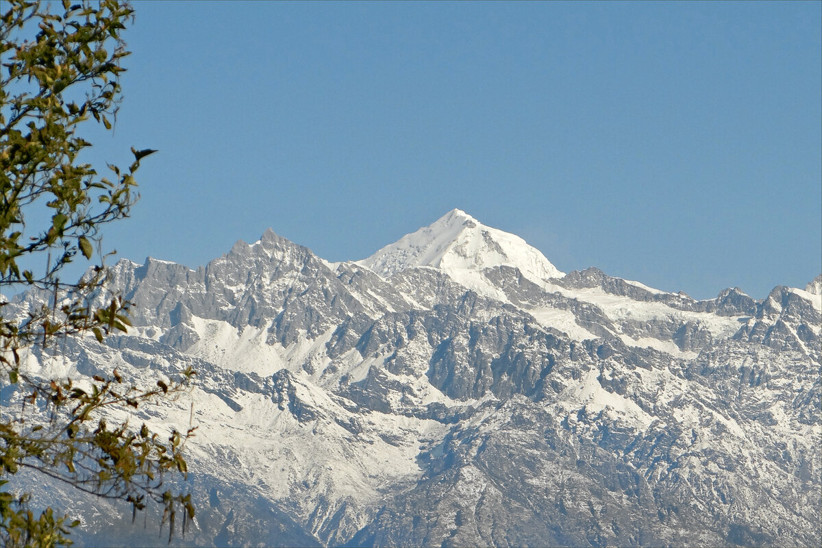 Лангтанг Лирунг