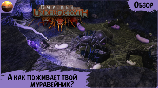 Empires of the Undergrowth - А как поживает твой муравейник? (Обзор)