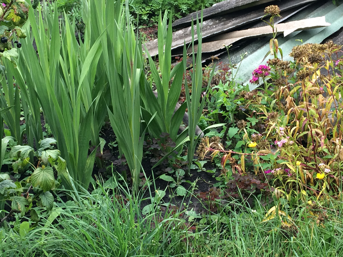 личное фото автора