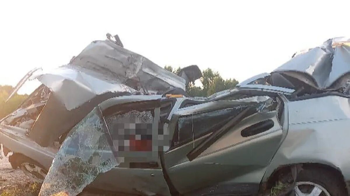 Фото: Госавтоинспекция Новосибирск