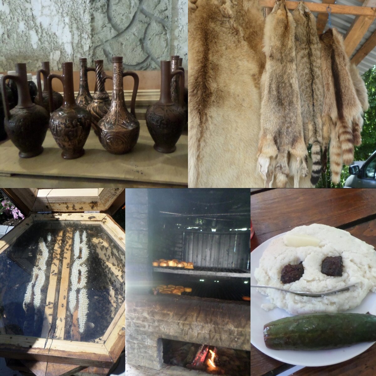 Дегустация меда, вина, сыра в Абхазии (собственное фото)