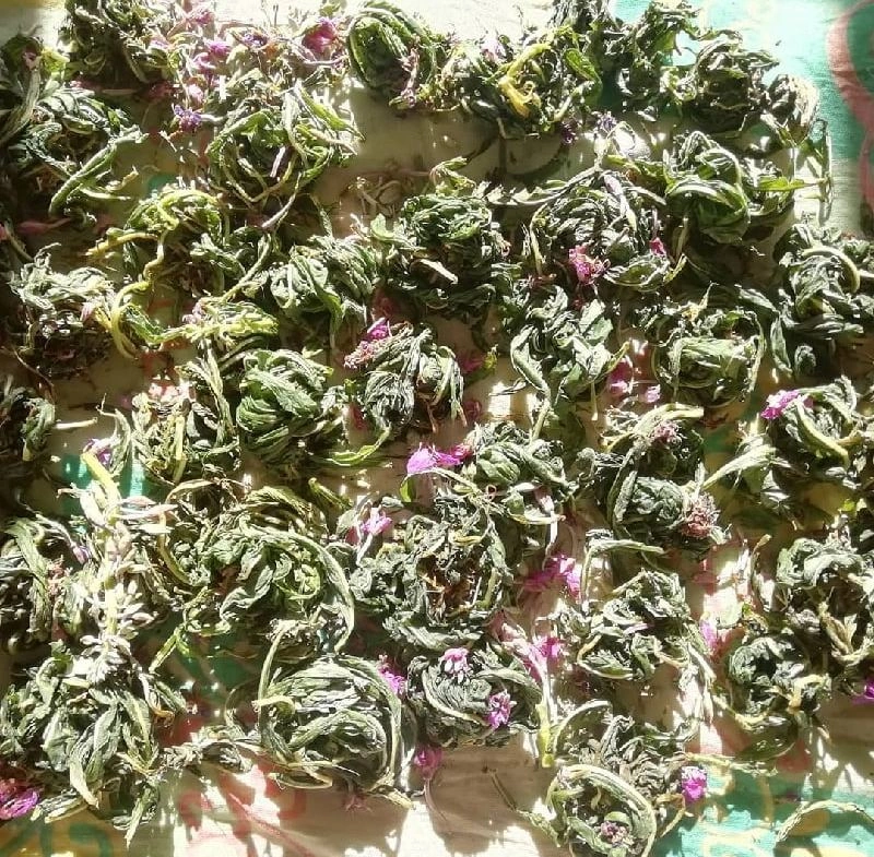 Вот такие шарики из листьев.