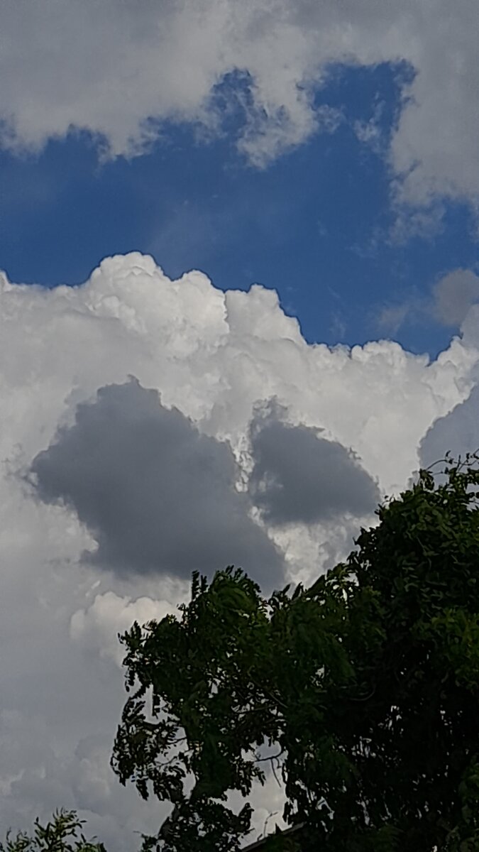 После грозы. Фото И.Т.