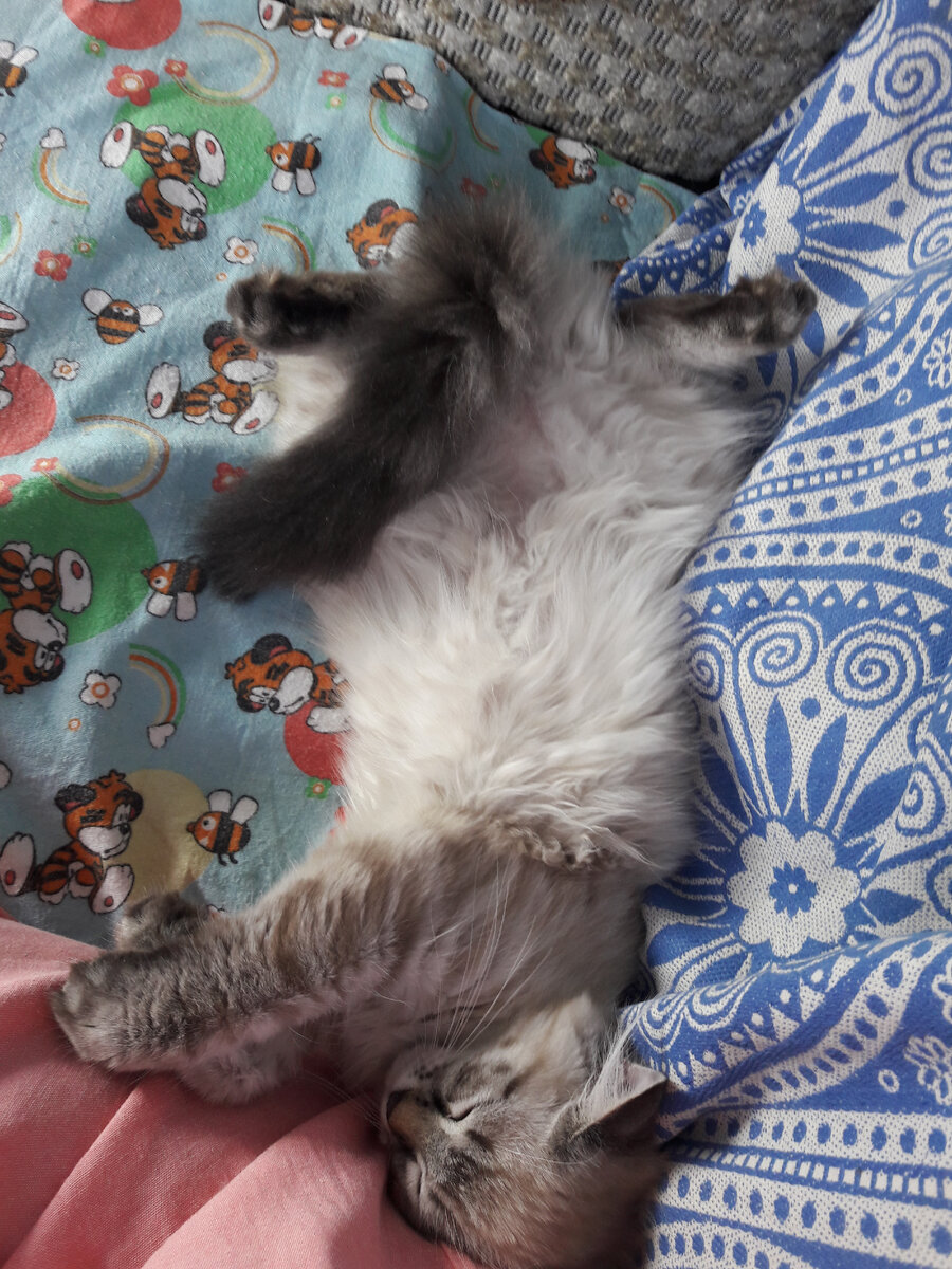 Так Милка спала всю дорогу