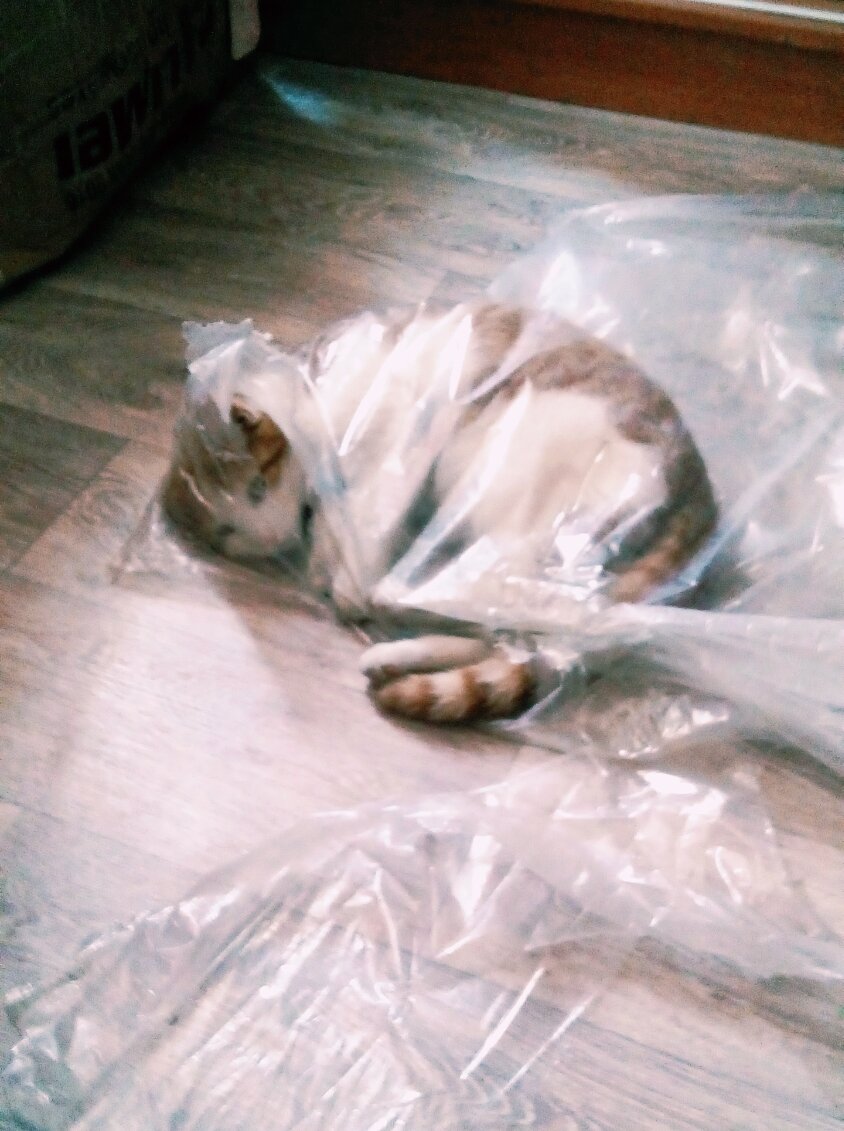 "Уйдите, я в печали"