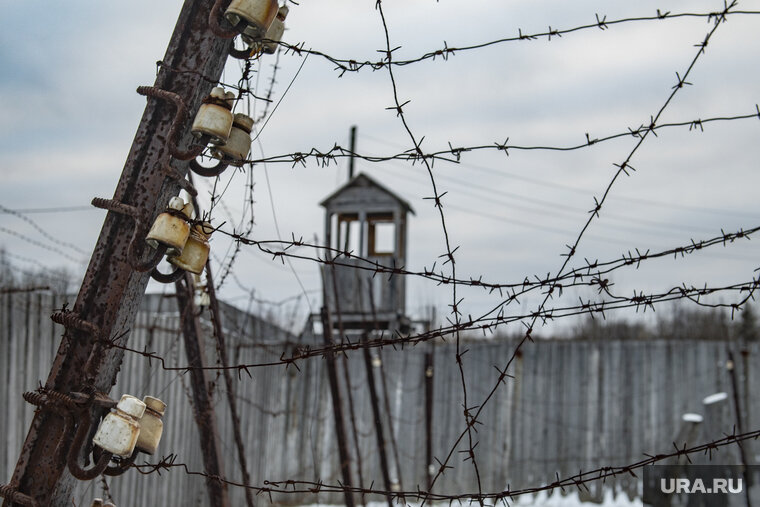    ЧП произошло в колонии №5 в Нижнем Тагиле (архивное фото)