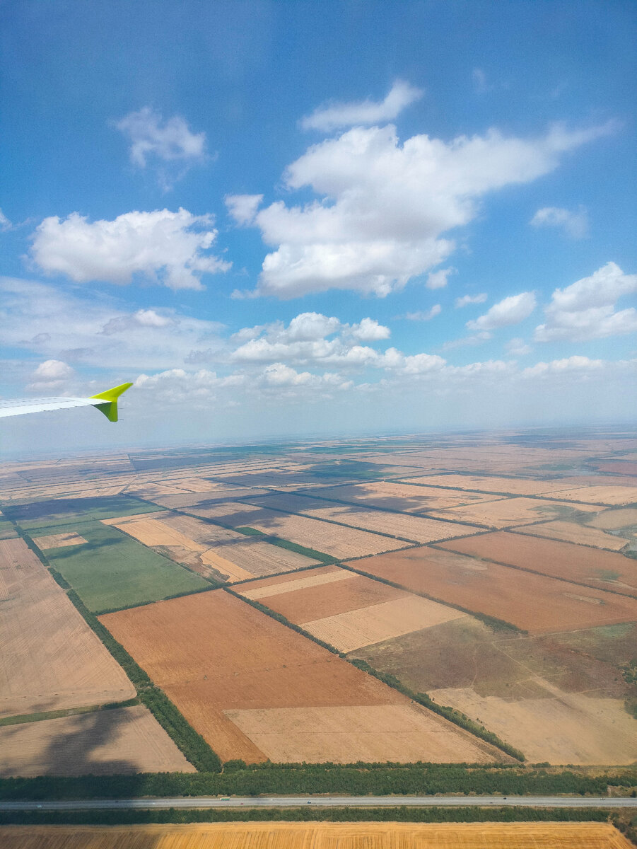 Южные поля. Фото из личного архива автора публикации.