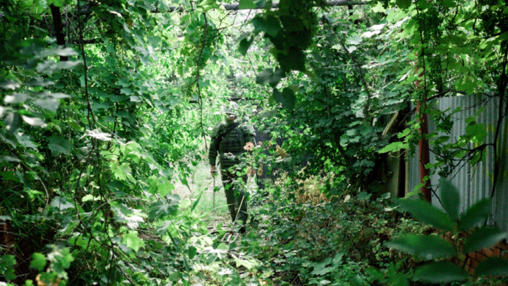 TSITSAGI NIKITA/NEWS.RU/GLOBALLOOKPRESS 