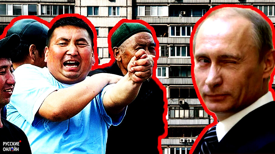 Дай ход. Мигрант много стал или мало стал