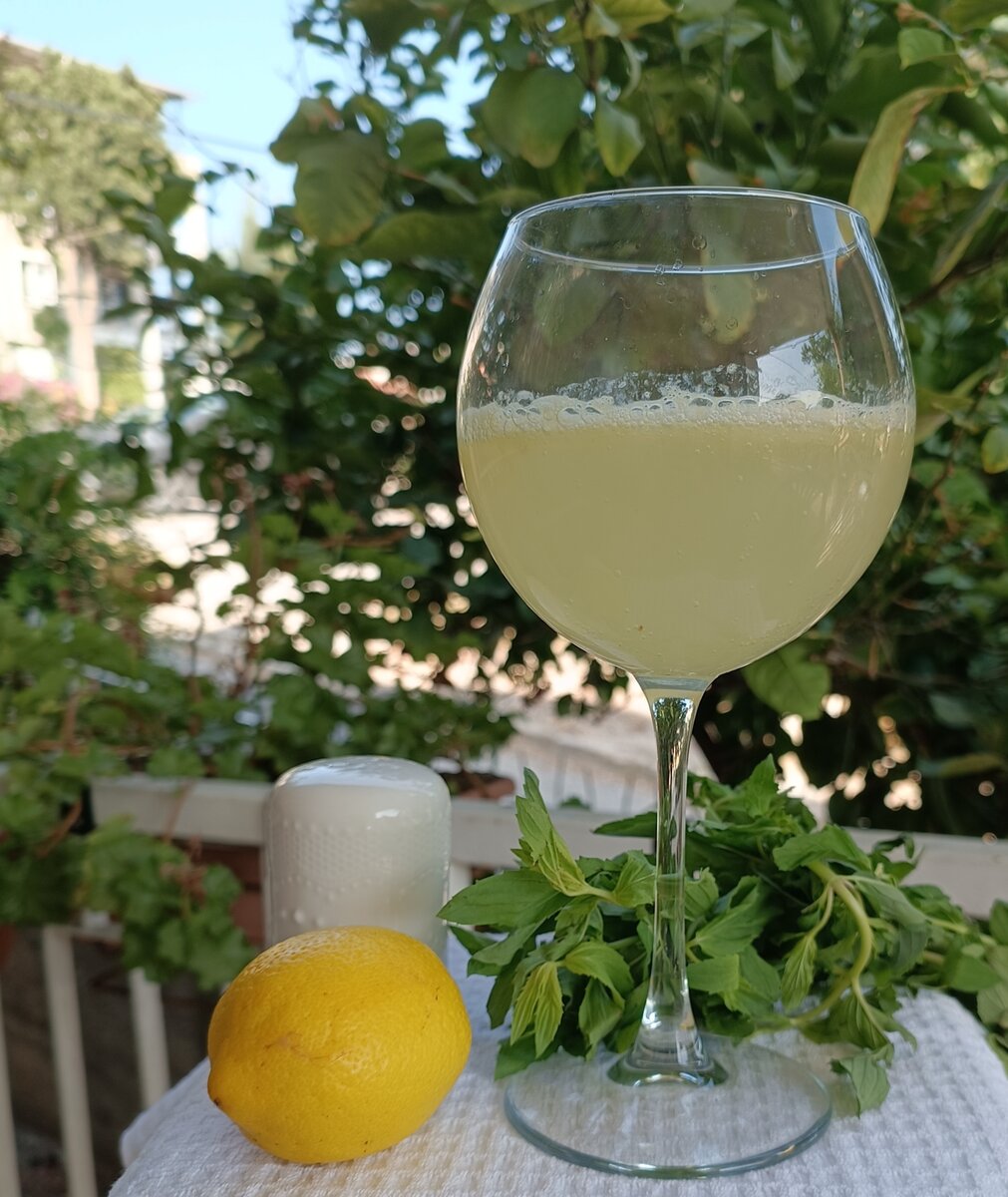 Фото сделано автором канала.