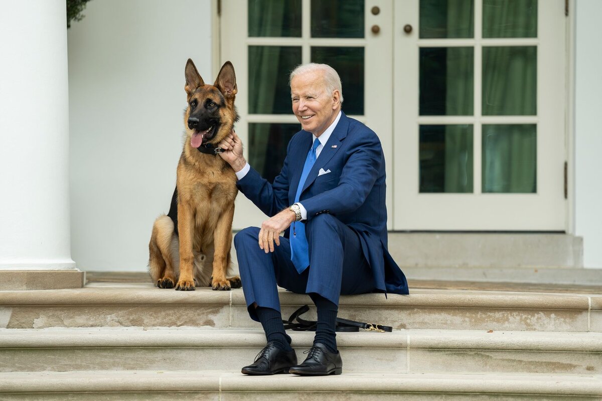    Джо Байден с собакой © White House/Global Look Press