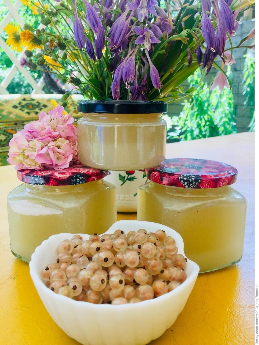 Самые свежие рецепты для Вас!