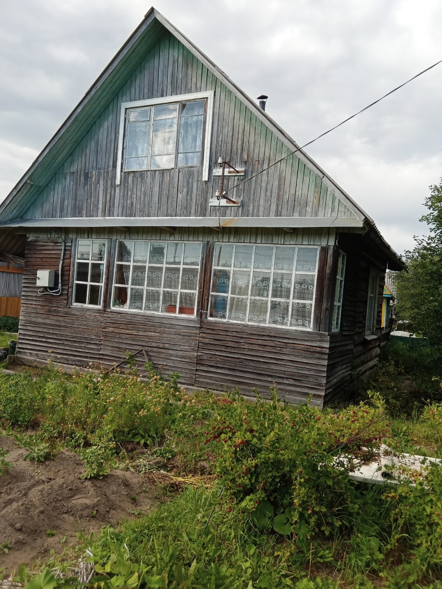 дача. Вид со стороны веранды