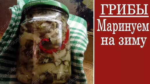 Как мариновать грибы вешенки шампиньоны и другие на зиму